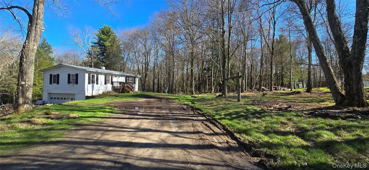 42 Back Shandelee Road, Livingston Manor, NY 12758 - #1