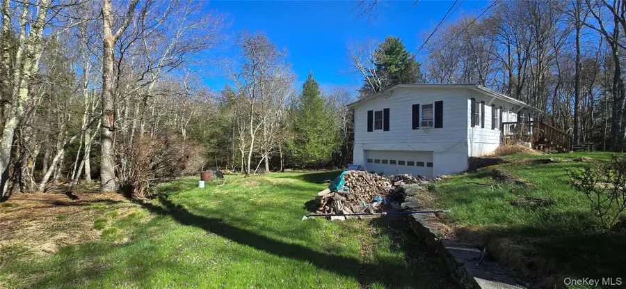 42 Back Shandelee Road, Livingston Manor, NY 12758 - #2