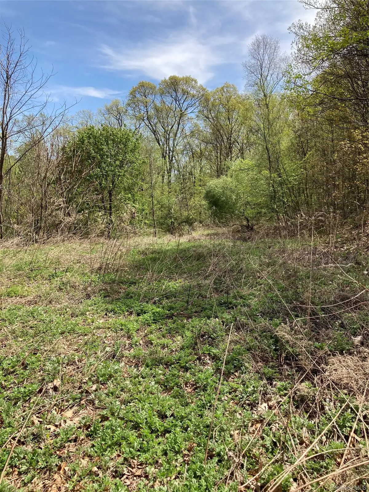 Canterbury Drive, Newburgh, NY 12550 - #1