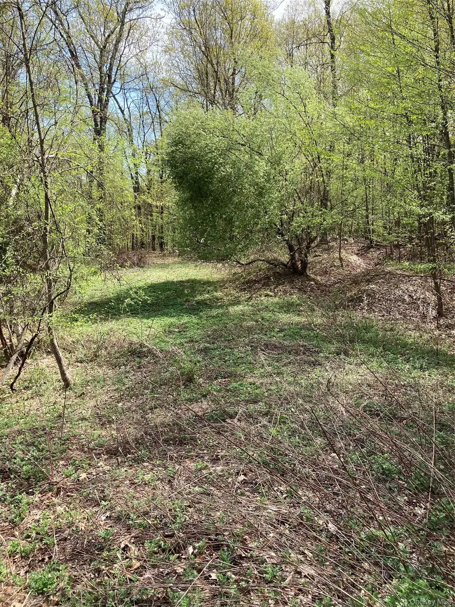 Canterbury Drive, Newburgh, NY 12550 - #2