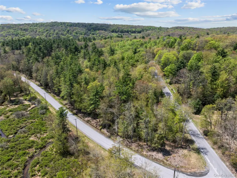 Church Rd & Taylor Road, Fallsburg, NY 12733 - #3