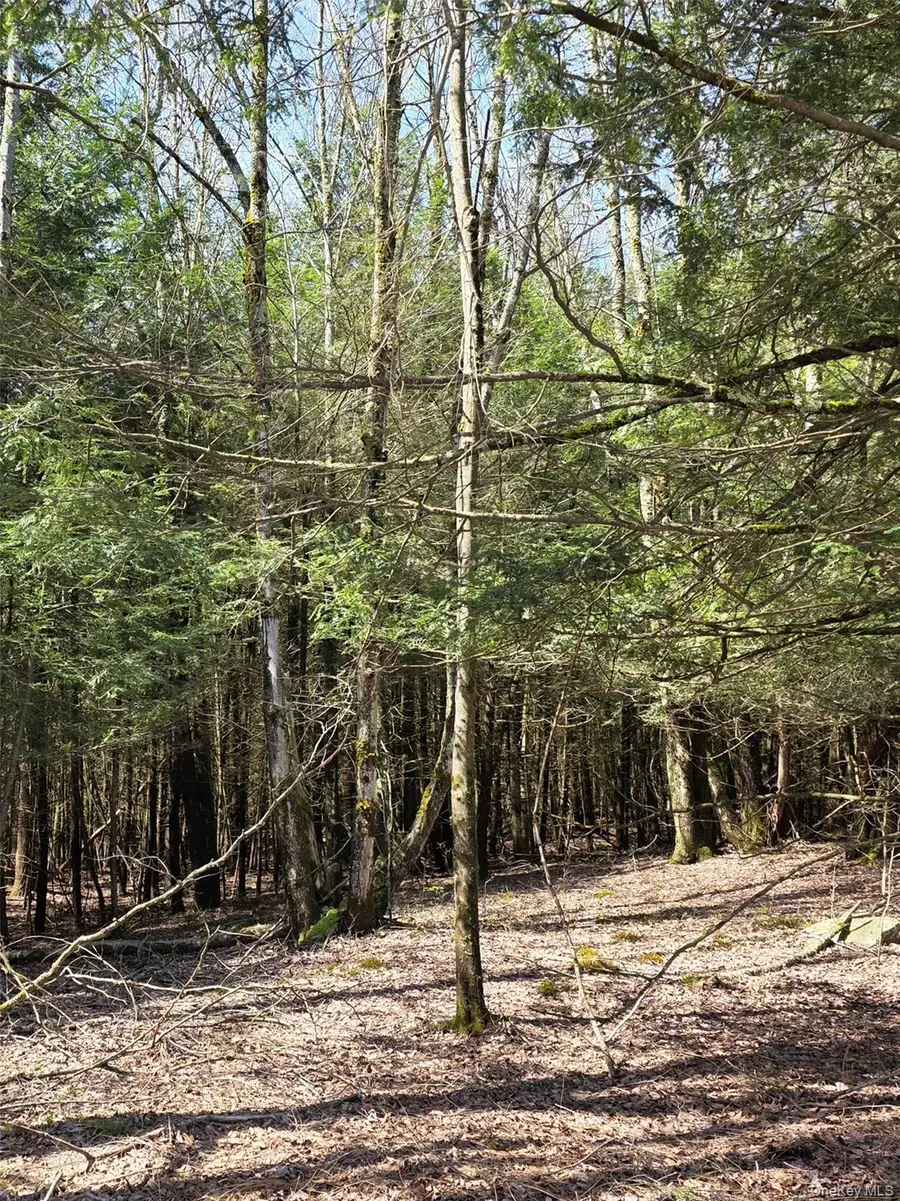 Highview Acres, Parksville, NY 12768 - #2