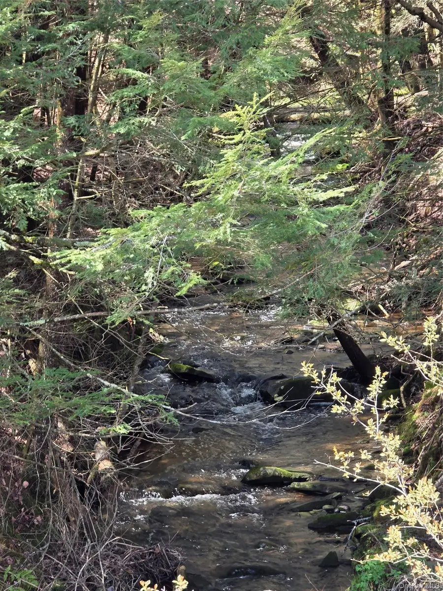 Highview Acres, Parksville, NY 12768 - #3