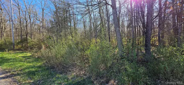 Lot 70 Cushetunk Drive, Cochecton, NY 12726