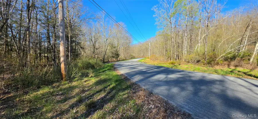 Lot 70 Cushetunk Drive, Cochecton, NY 12726 - #3
