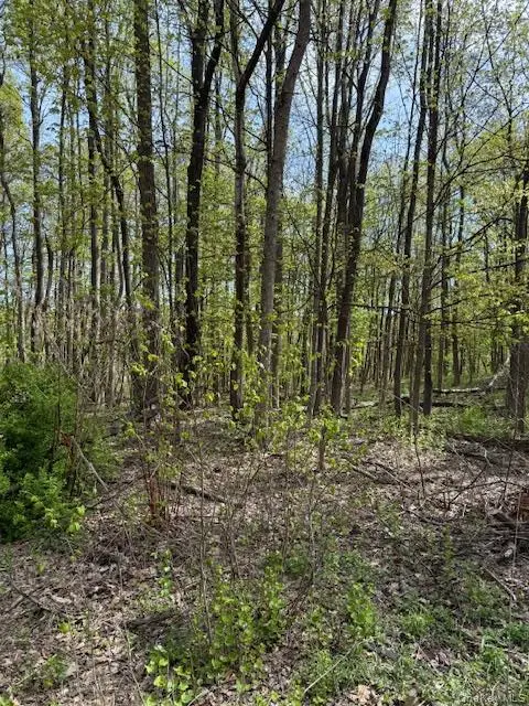 Route 300, Newburgh, NY 12550