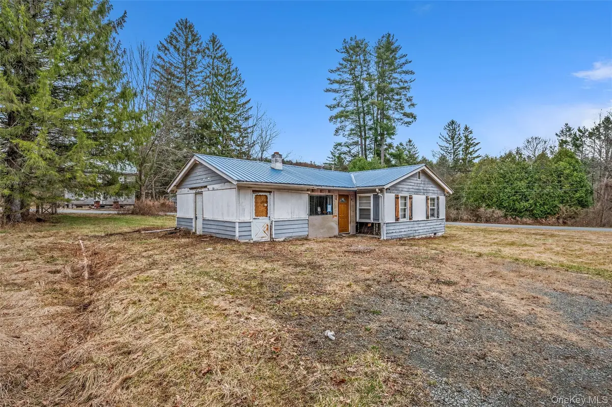8241 State Route 52, Narrowsburg, NY 12764 - #1