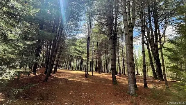 White Road, Glen Spey, NY 12737 - #2