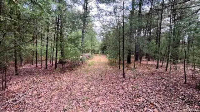 White Road, Glen Spey, NY 12737 - #3