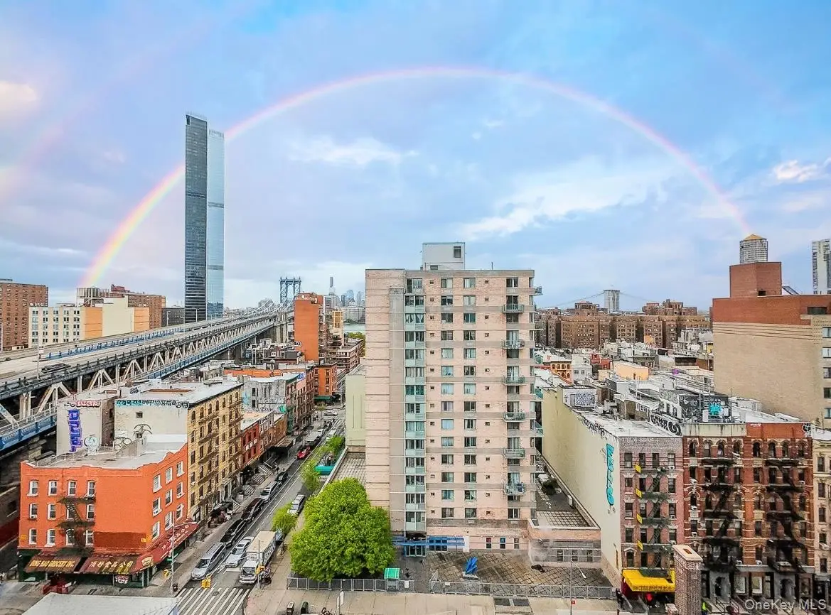 60 Henry Street #15F2, New York, NY 10002 - #1