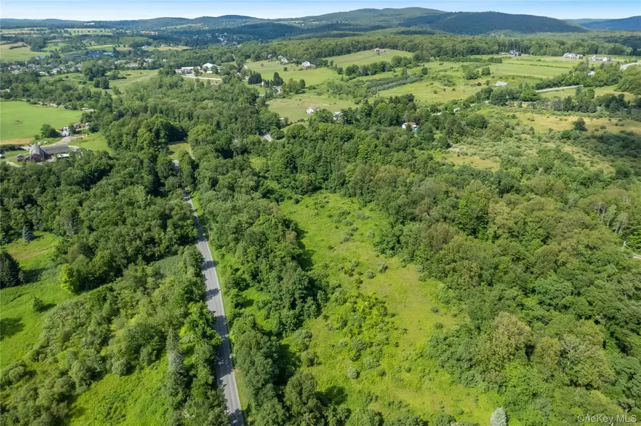 Clapp Hill Road, Lagrangeville, NY 12540 - #3