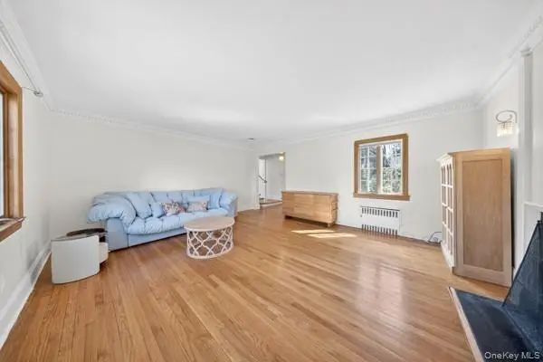 167 Old Mill Road, Manhasset, NY 11030 - #3