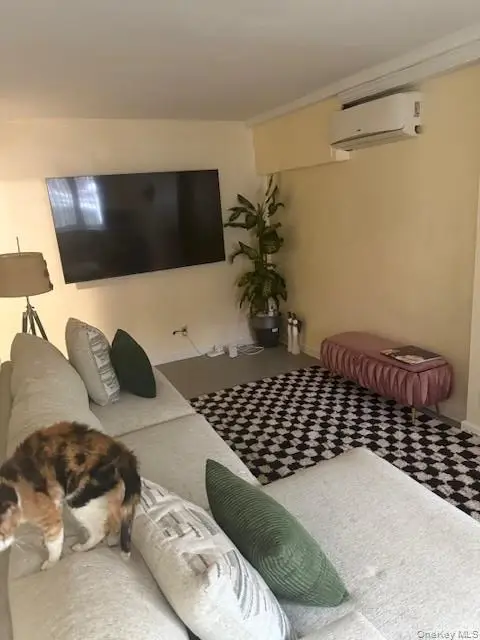 714 East 95 Street, Brooklyn, NY 11236 - #3