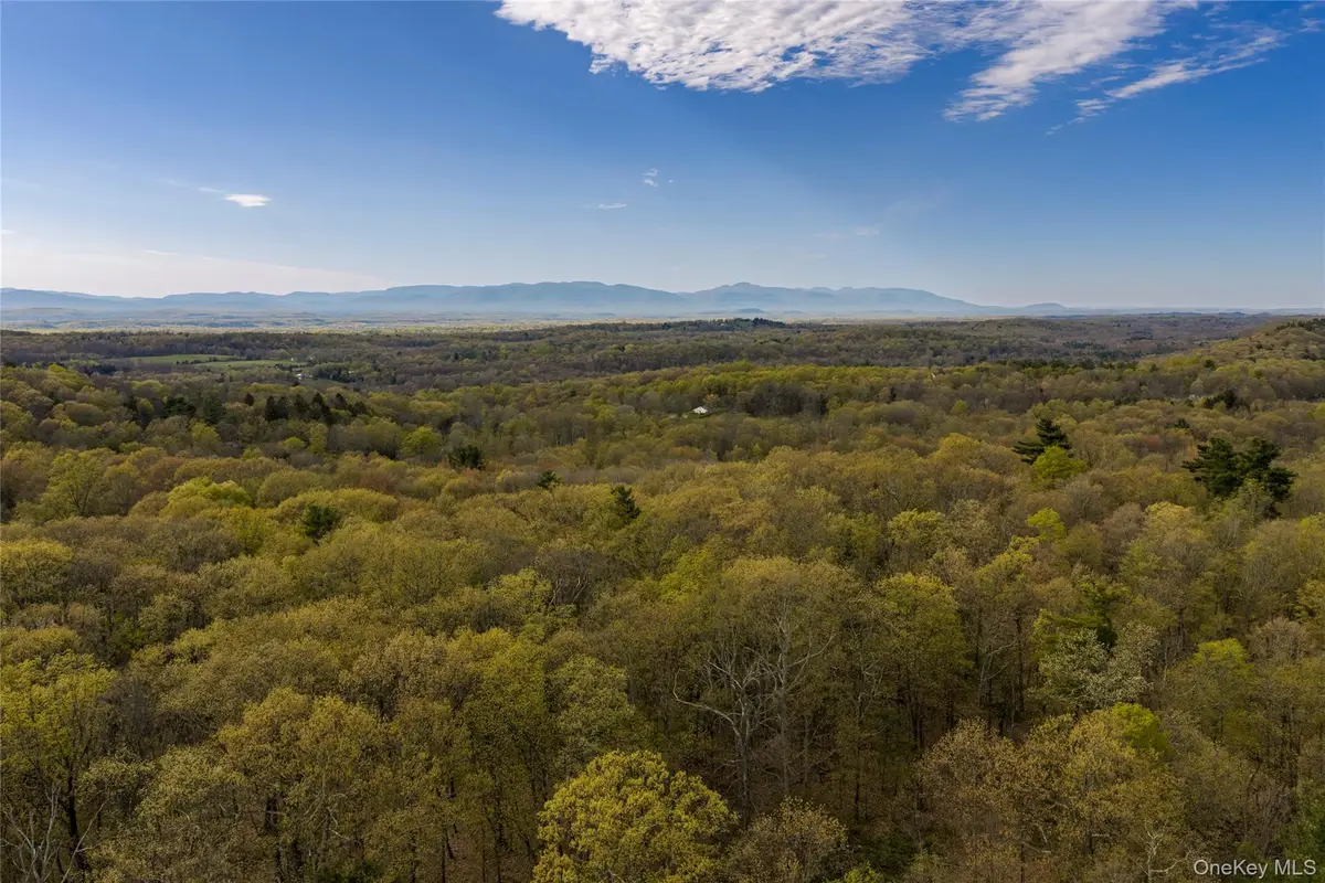 Schultz Hill Road, Staatsburg, NY 12580 - #1