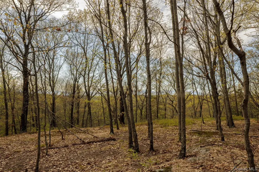 Schultz Hill Road, Staatsburg, NY 12580 - #3