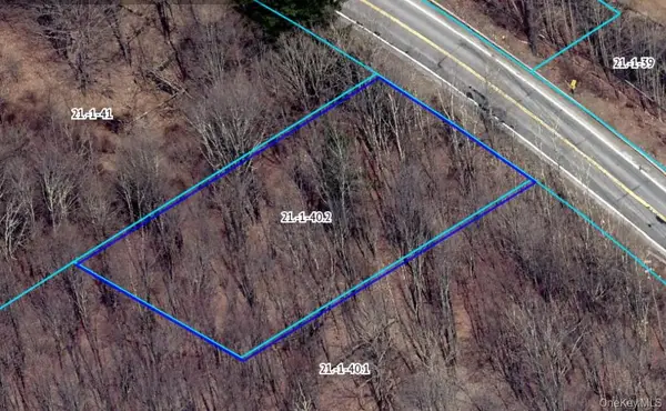 00 Rt-42, Fallsburg, NY 12788