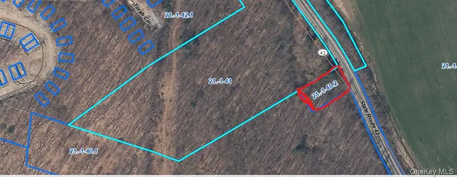 00 Rt-42, Fallsburg, NY 12788 - #2