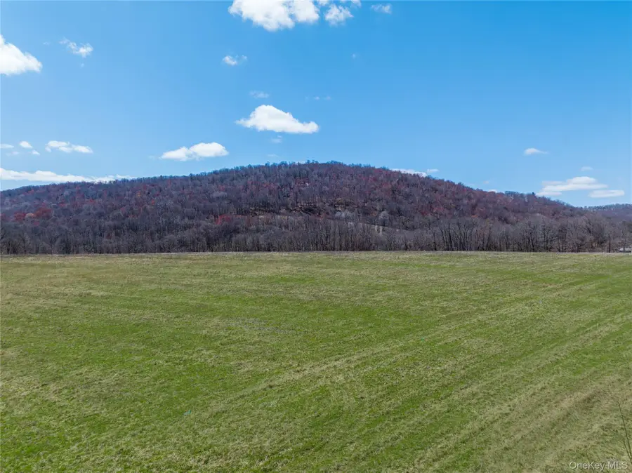 Lot # 10 Mcghee Hill Road, Millerton, NY 12546 - #3