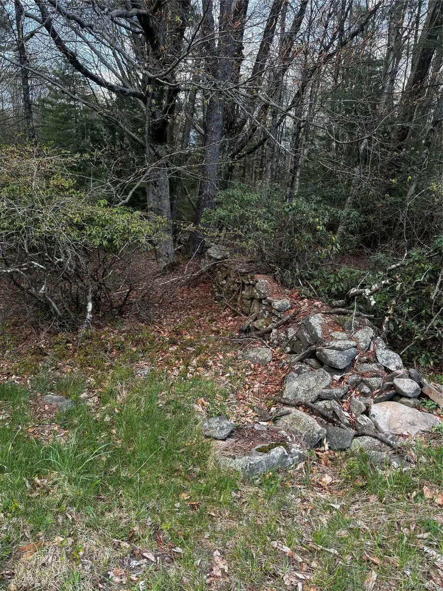 TBD 000 Ulster Heights Road, Fallsburg, NY 12733 - #2