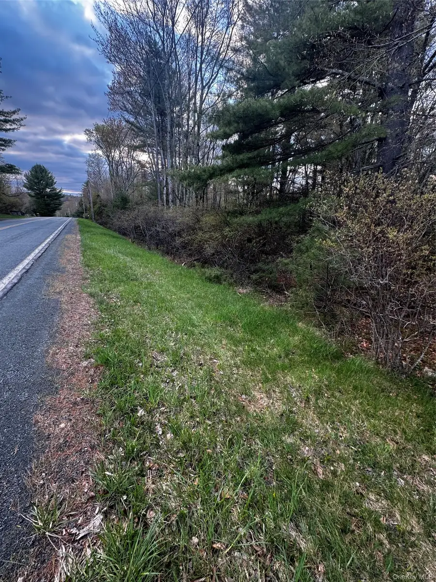 TBD 000 Ulster Heights Road, Fallsburg, NY 12733 - #3