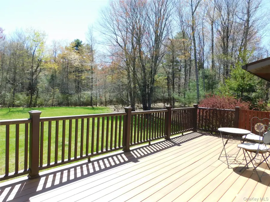 48 Mahogany Lane, Liberty, NY 12754 - #3