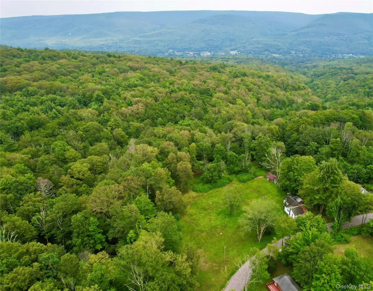 595-599 Oak Ridge Road, Wawarsing, NY 12428 - #1