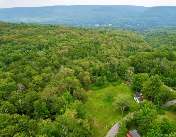 595-599 Oak Ridge Road, Wawarsing, NY 12428
