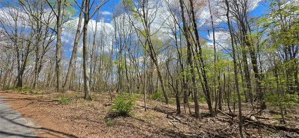 Lot 17.14 Skipperene Road, Cochecton, NY 12726