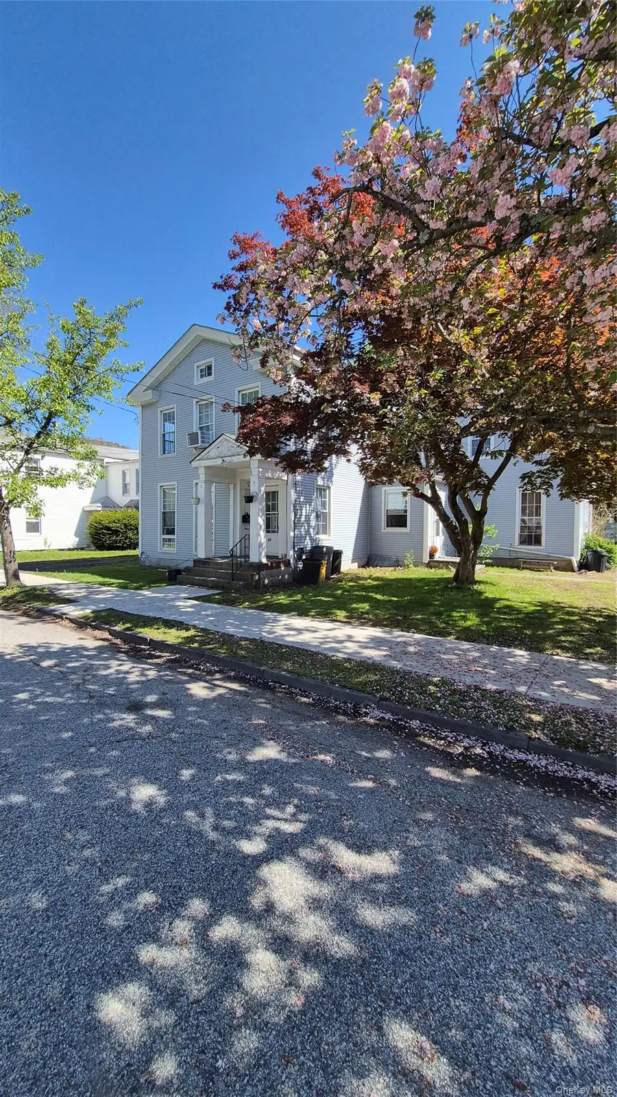 22 E Broome Street, Port Jervis, NY 12771 - #3