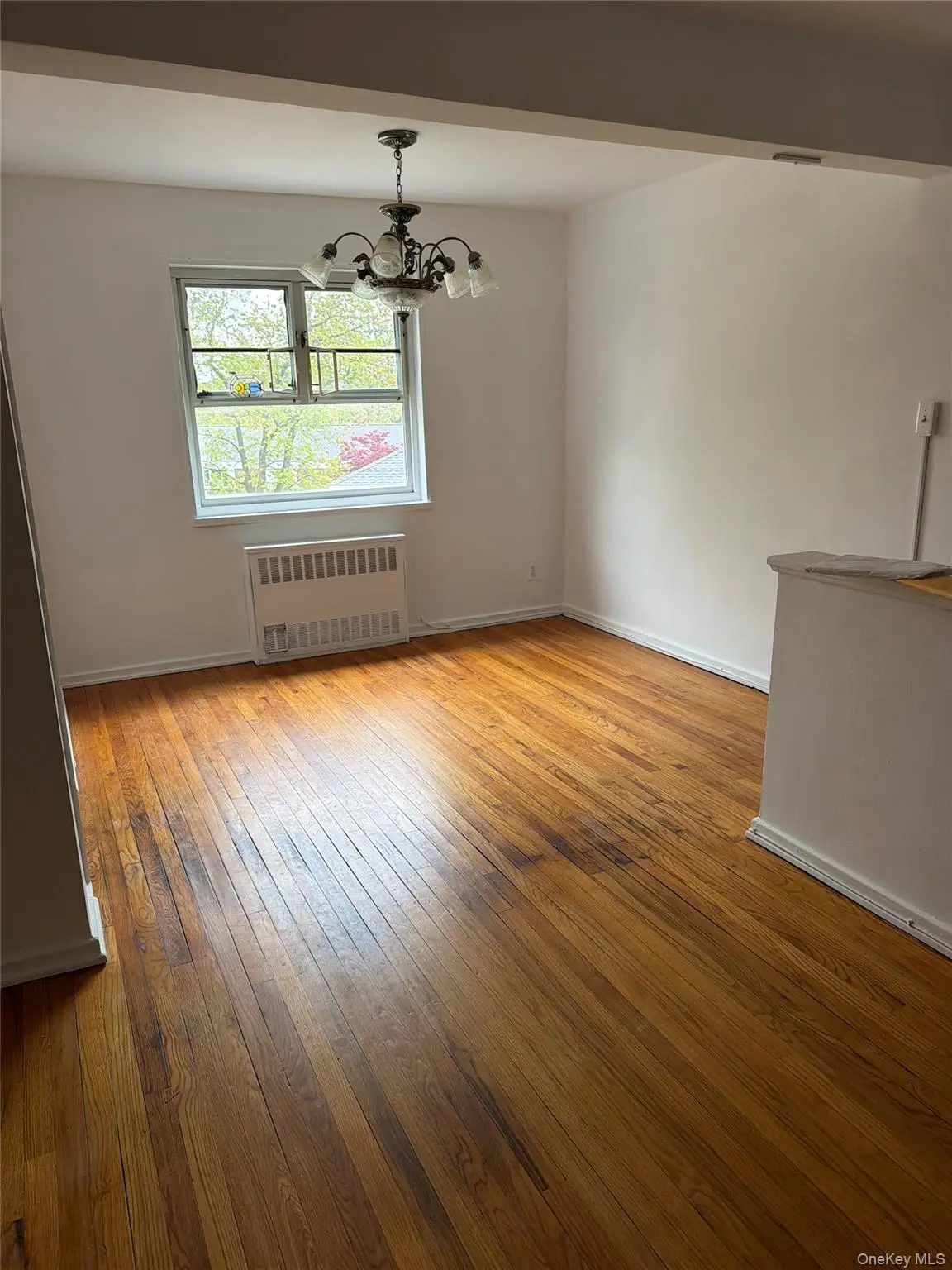 228-14 Stronghurst Avenue #Upper, Queens Village, NY 11427 - #1