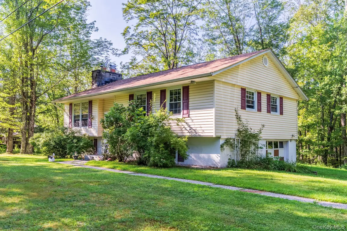 54 Mitteer Road, Hurleyville, NY 12747 - #1