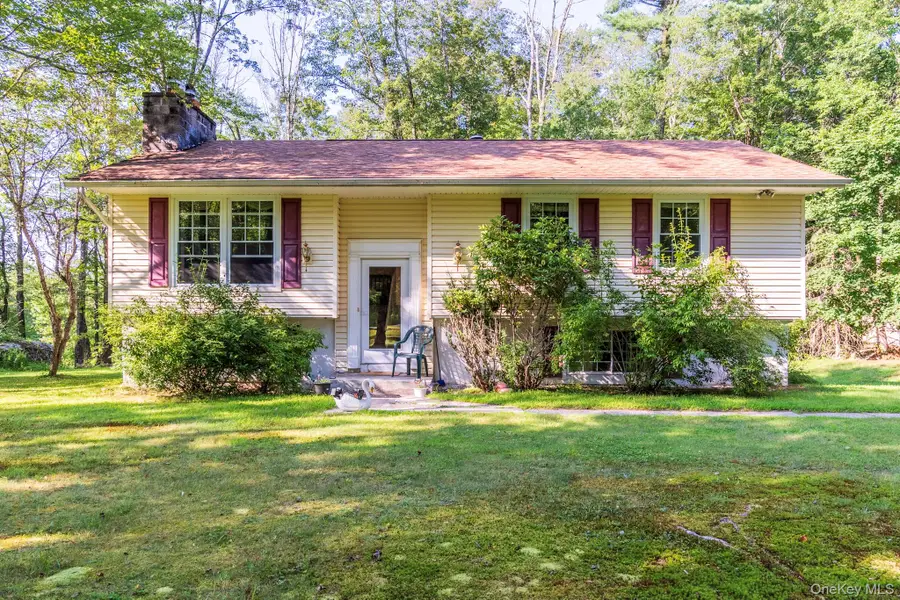 54 Mitteer Road, Hurleyville, NY 12747 - #2