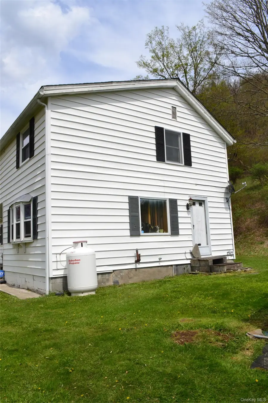 756 County Highway 21, Walton, NY 13856 - #3
