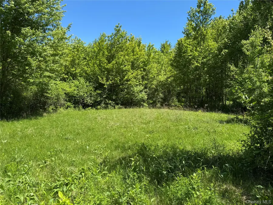 Parcel 1 - TBD Woodstock Road, Millbrook, NY 12545 - #2