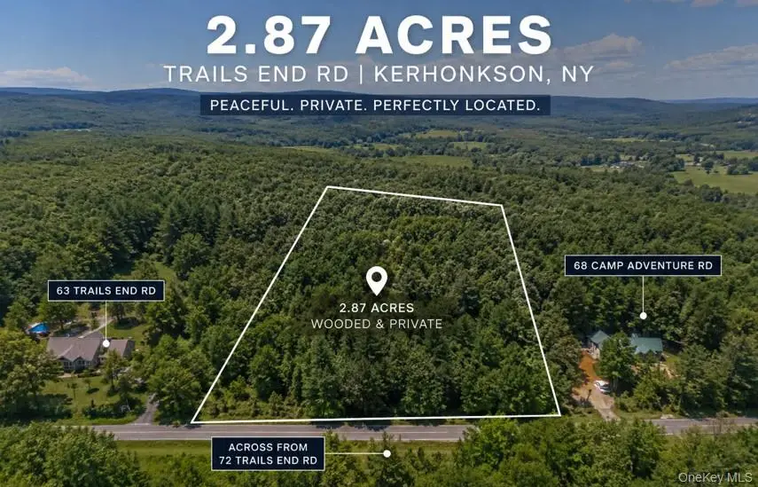 Trails End Road, Kerhonkson, NY 12446 - #1