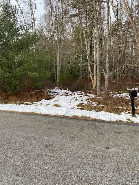 Lot 114 Old Congress Road, Monticello, NY 12701