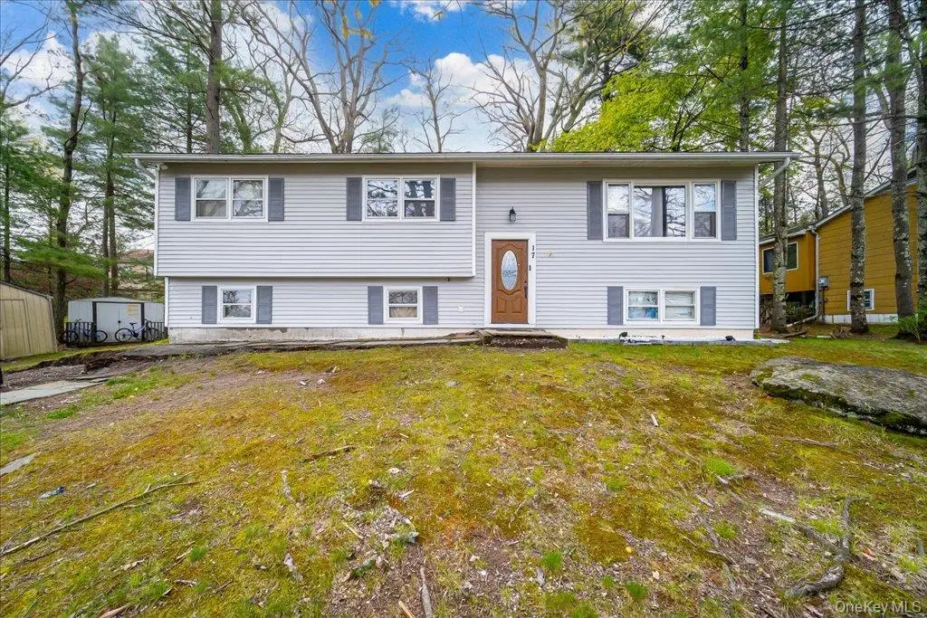 17 Chester Street, Rock Hill, NY 12775 - #1
