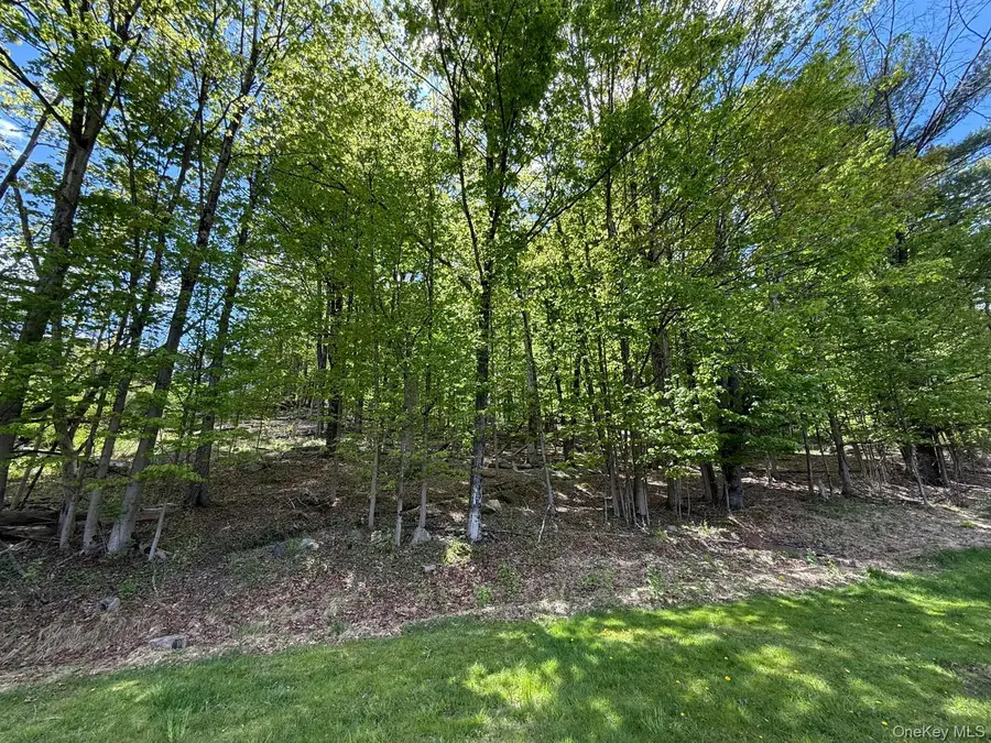 Westwood Avenue, Ellenville, NY 12428 - #3