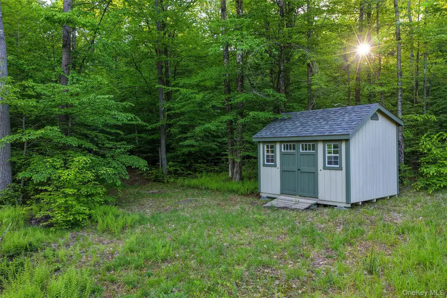 Frank Slawson Road, Davenport, NY 13820 - #2