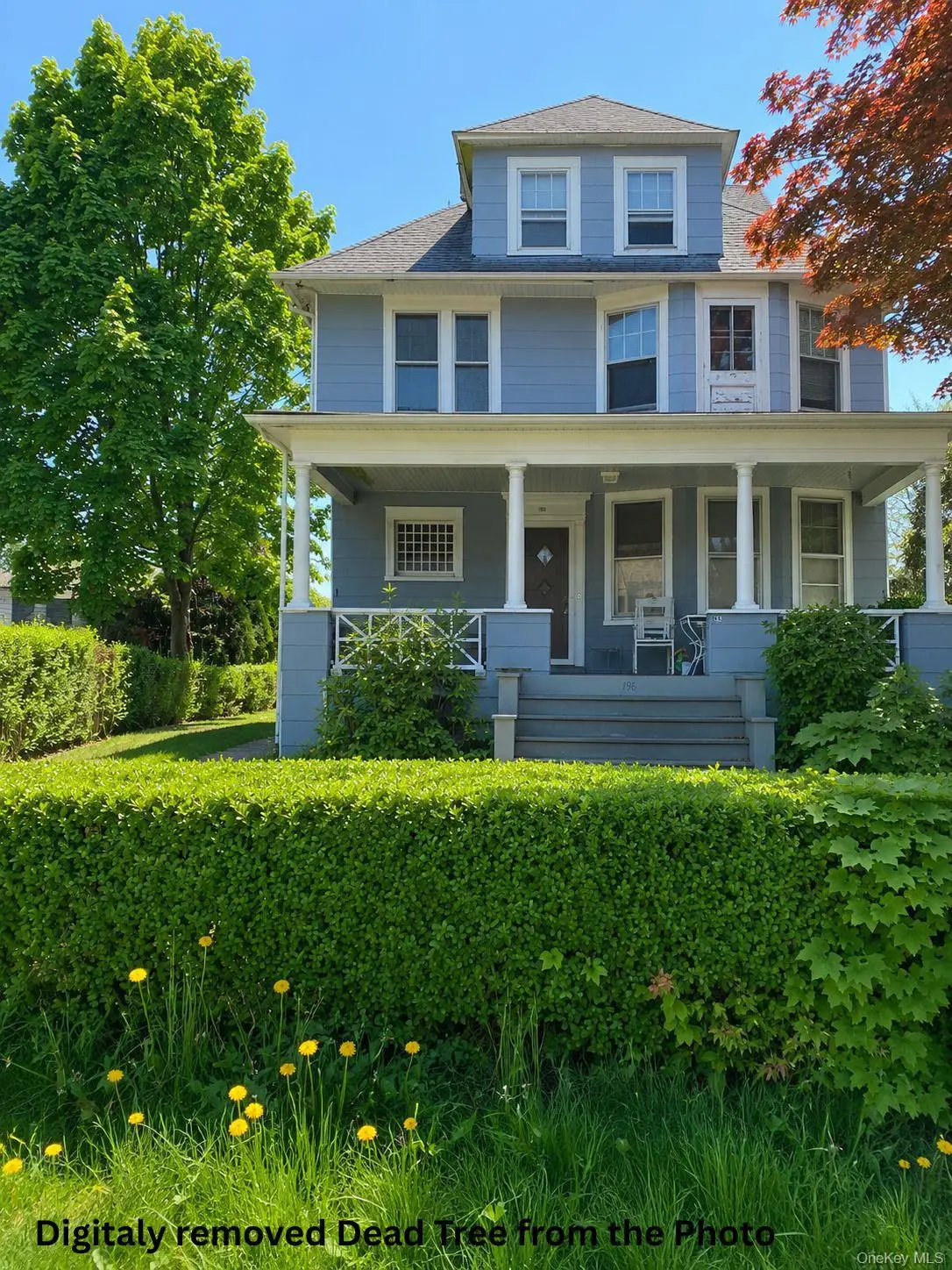 196 Elm Street, New Rochelle, NY 10805 - #1