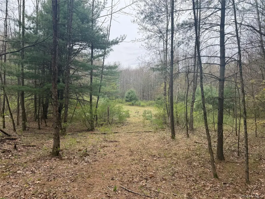 11 Forest View Drive, Catskill, NY 12414 - #3