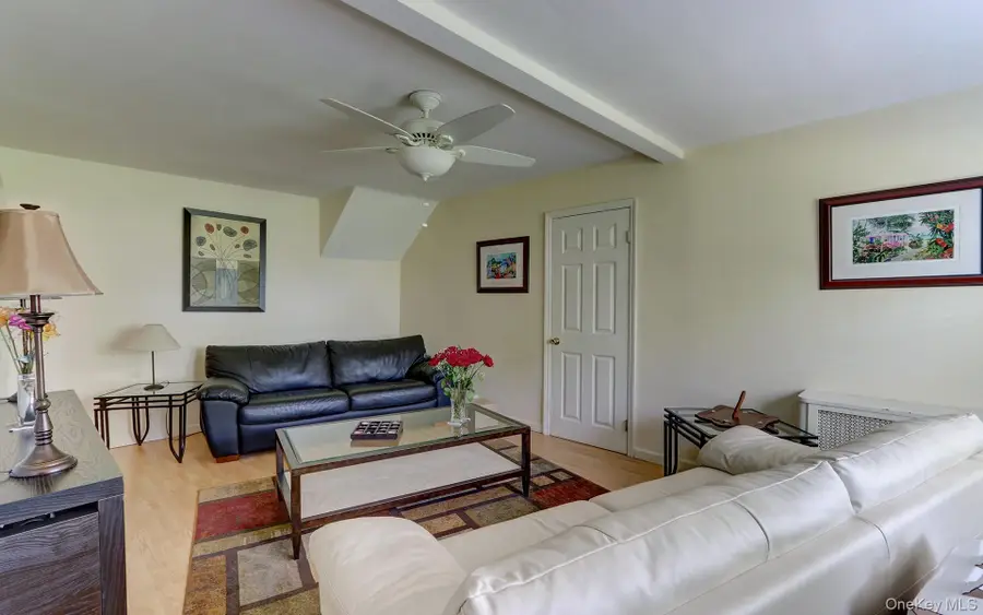 54 Mckinley Avenue, Albertson, NY 11507 - #3