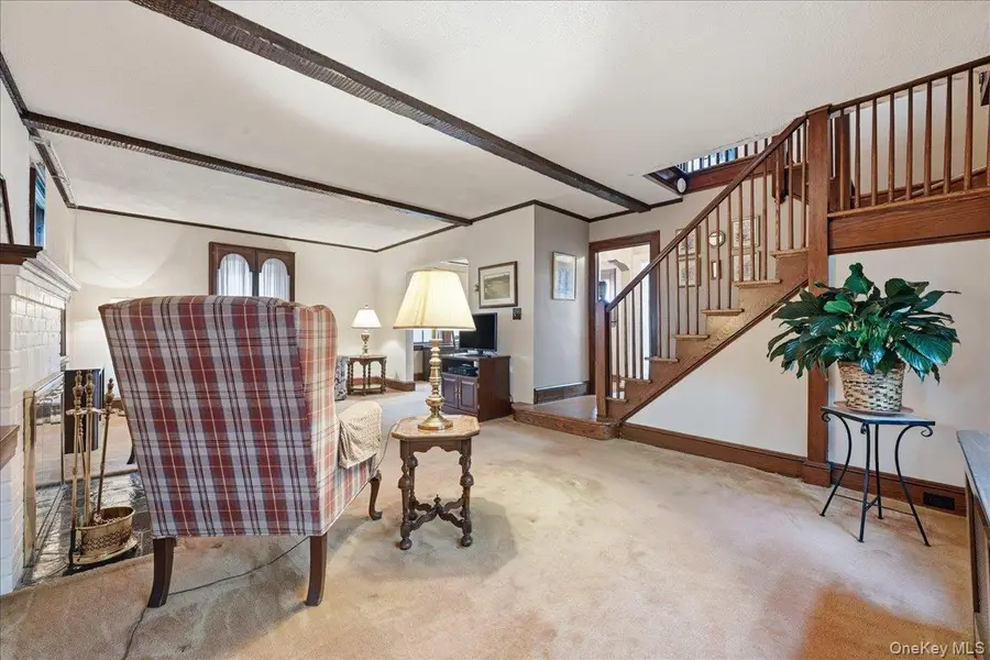 311 Carnation Avenue, Floral Park, NY 11001 - #3