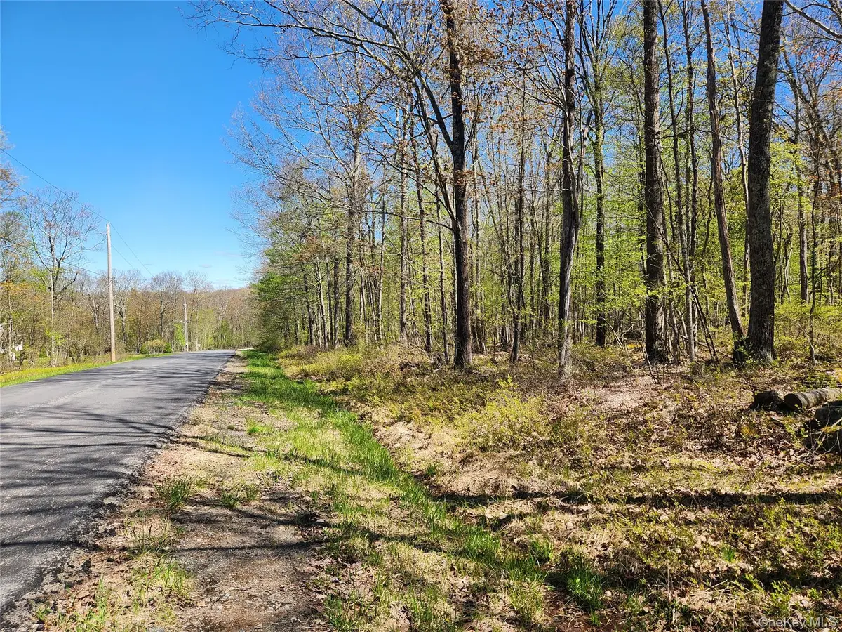 Lot 34 Lenni Lenape Road, Cochecton, NY 12726 - #1