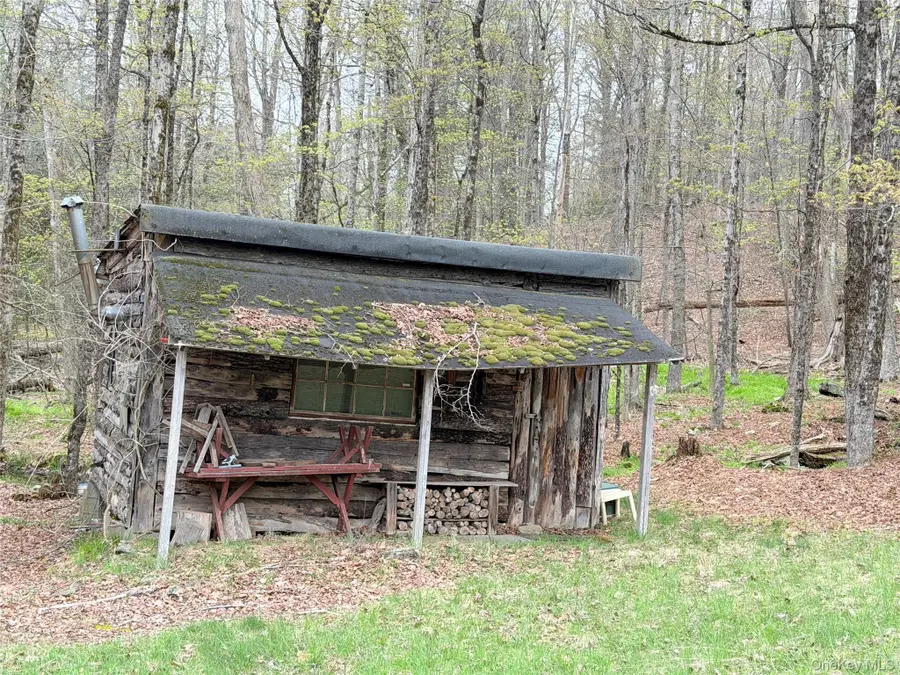 Muthig Road, Fallsburg, NY 12733 - #2
