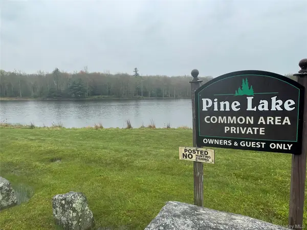 lot # 20 Pine Lake Drive, Wurtsboro, NY 12790