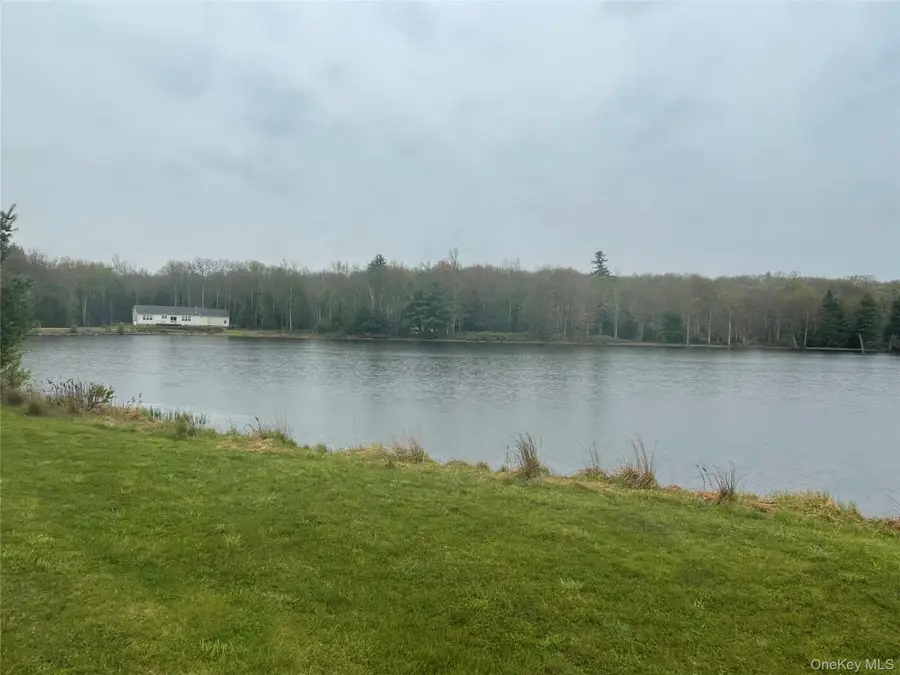 lot # 20 Pine Lake Drive, Wurtsboro, NY 12790 - #2