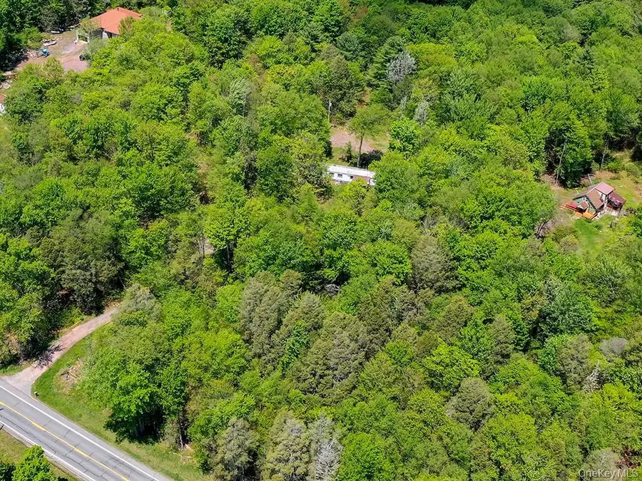 7173 State Route 42, Grahamsville, NY 12740 - #3
