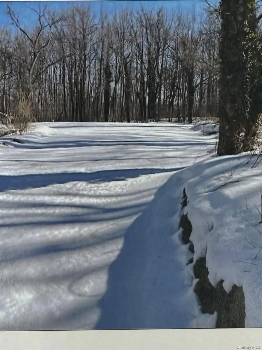 Lot #6 and #7 Plainview Road, Huntington, NY 11743 - #3