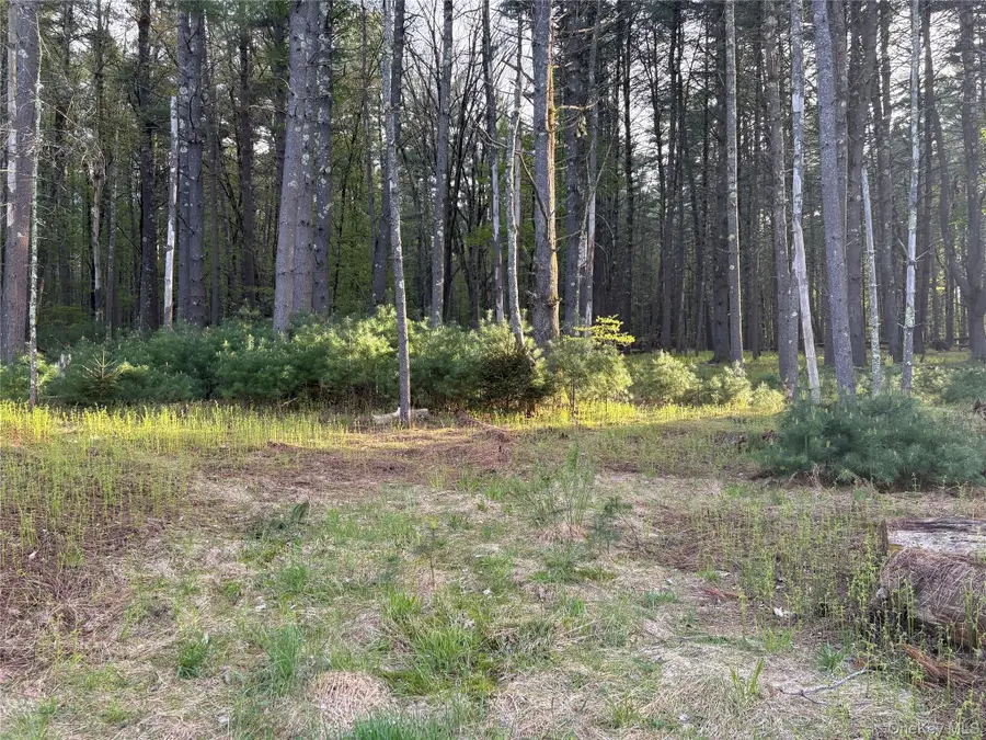 Airport Road, Highland, NY 12528 - #2